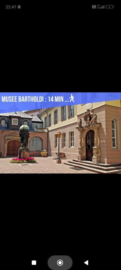 Refuge Ladhof Odysalis I Chic-Moderne-Proche Du Centre-Ville 3 Pieces 2 Chambres Colmar Exteriör bild