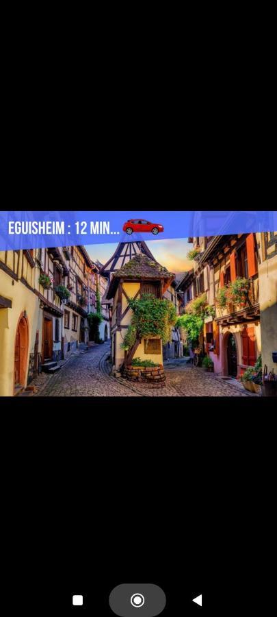 Refuge Ladhof Odysalis I Chic-Moderne-Proche Du Centre-Ville 3 Pieces 2 Chambres Colmar Exteriör bild