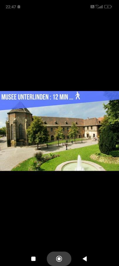 Refuge Ladhof Odysalis I Chic-Moderne-Proche Du Centre-Ville 3 Pieces 2 Chambres Colmar Exteriör bild